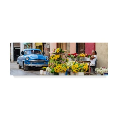 Philippe Hugonnard 'Sunflowers Havana' Canvas Art,16x47